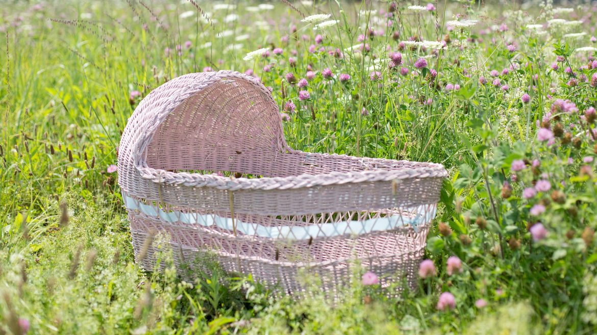 From the Magic Table: Crib of Climbing and Swimming